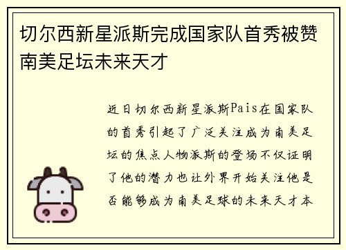 切尔西新星派斯完成国家队首秀被赞南美足坛未来天才